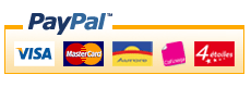 tendances-du-monde-paypal.png