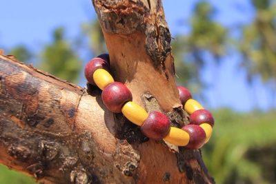 Bracelet perles en bois jaune et acajou